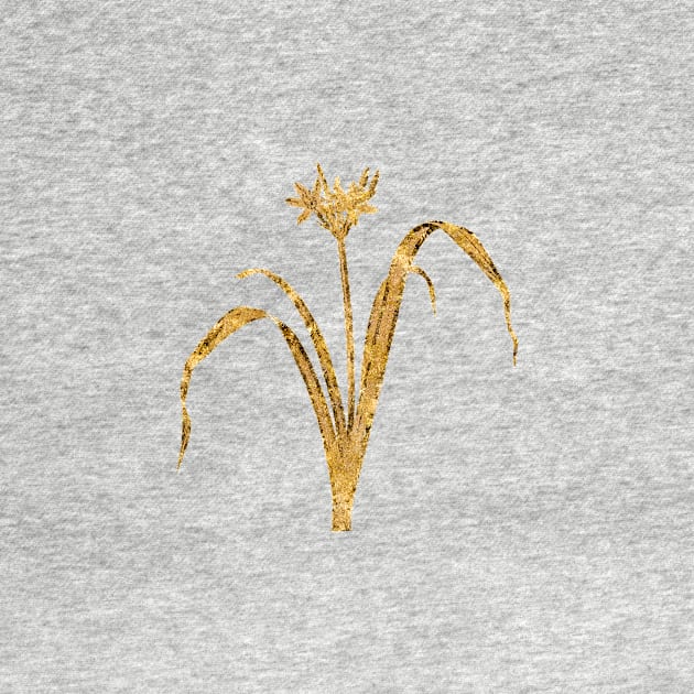 Vintage Gilded Small Flowered Pancratium Botanical Gold Leaf by Holy Rock Design